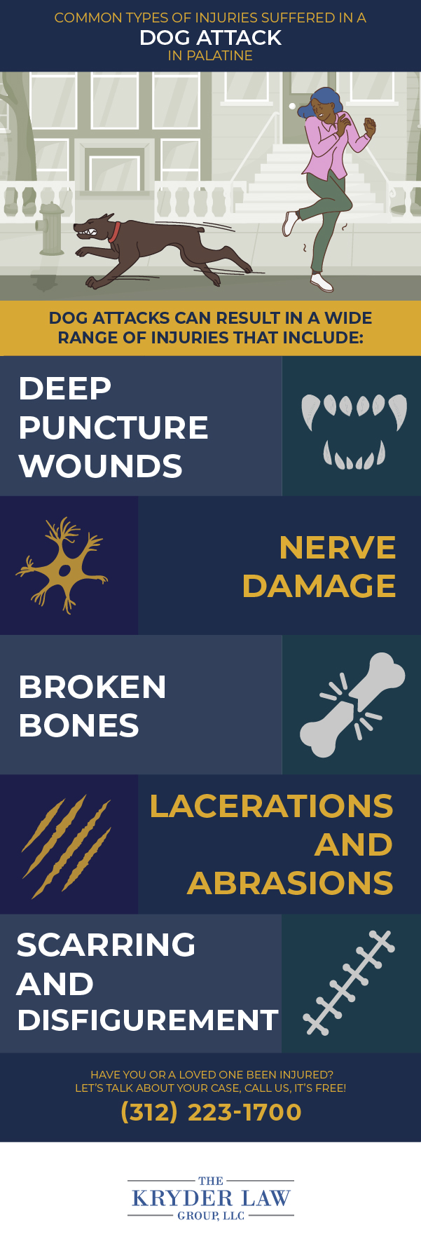 Common Types of Injuries Suffered in a Dog Attack in Palatine Infographic