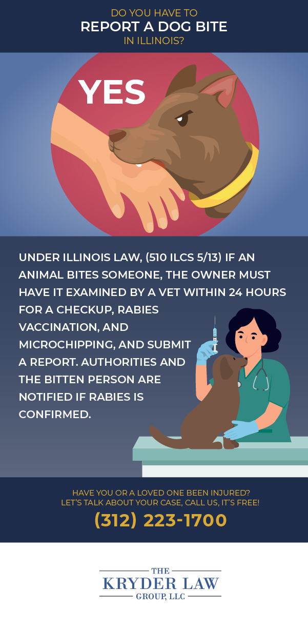 Do You Have to Report a Dog Bite in Illinois?